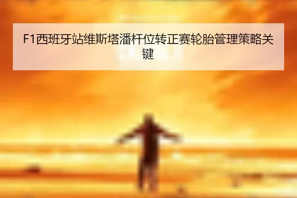 xi-ban-ya-zhan-wei-si-ta-pan-gan-wei-zhuan-zheng-sai-lun-tai-guan-li-ce-lve-guan-jian-2-669.jpg